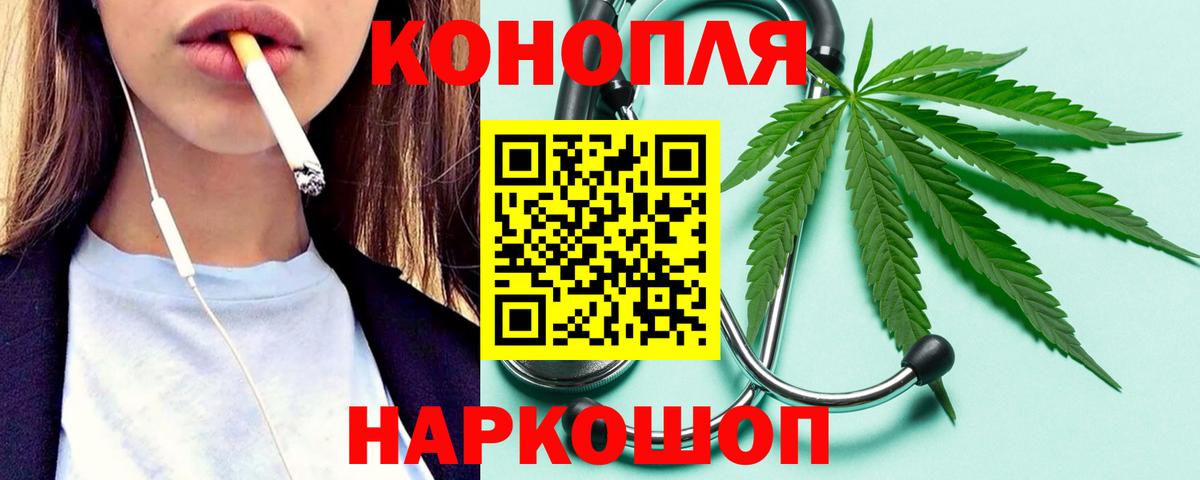 Бошки Шишки семена Хасавюрт